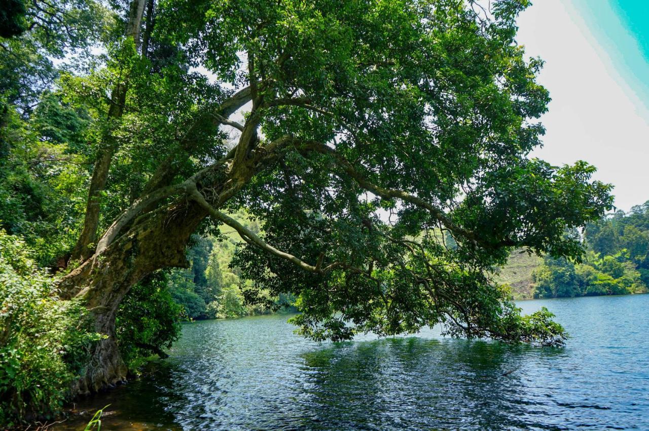 Lake Nyamirima Cottages Fort Portal Buitenkant foto
